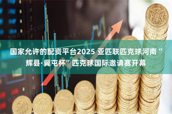 国家允许的配资平台2025 亚匹联匹克球河南“辉县·冀屯杯”匹克球国际邀请赛开幕