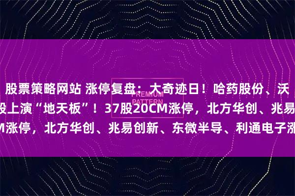 股票策略网站 涨停复盘：大奇迹日！哈药股份、沃格光电、雅克科技等9股上演“地天板”！37股20CM涨停，北方华创、兆易创新、东微半导、利通电子涨停！