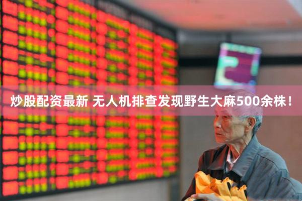 炒股配资最新 无人机排查发现野生大麻500余株！